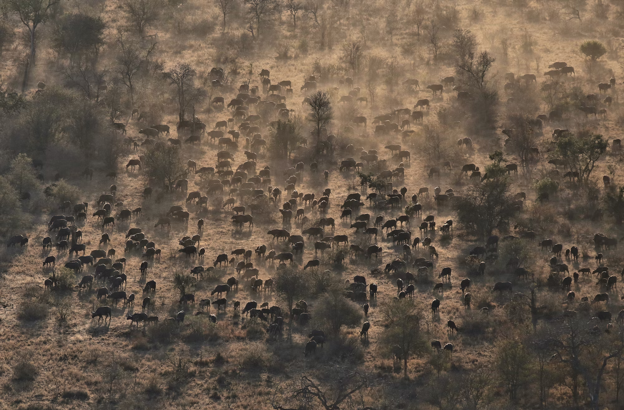 Exploring the World of Indie Games: Innovation and Creativity